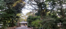 Wizyta u Rektora Akademii Sztuk Pieknych w Tokyo.